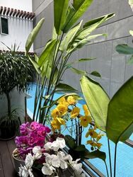 Grandview Suites (D14), Apartment #628778311